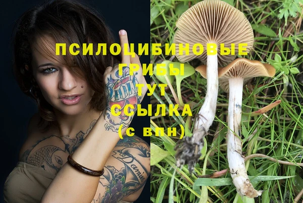 дистиллят марихуана Белокуриха